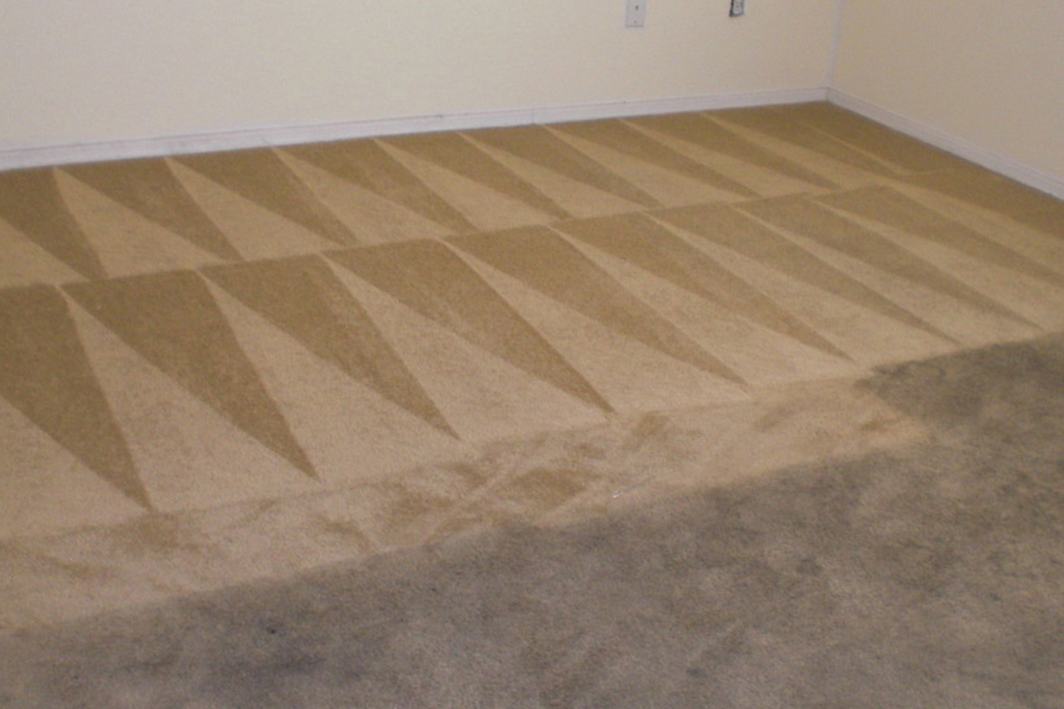 Carpet Cleaning | OneWay Property Restoration